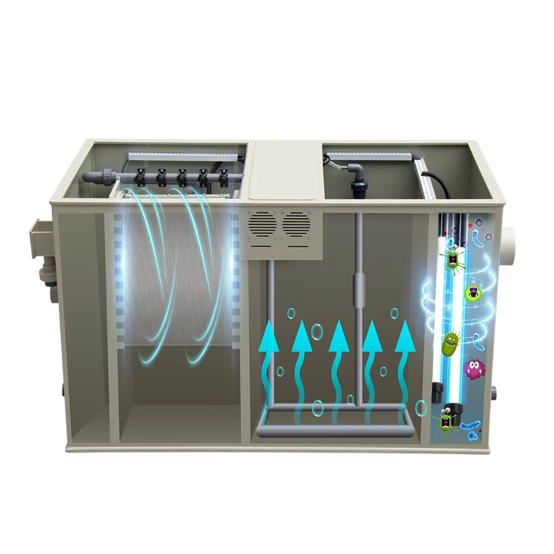 Aquaculture Equipment Aquarium - Aquarium Fish Koi reseña y precio