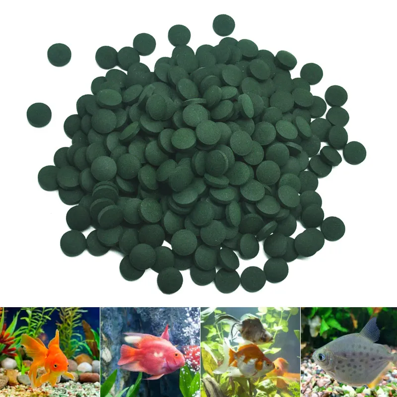 100pcs High Purity Spirulina T - Aquarium Fish Holiday Food reseña y precio