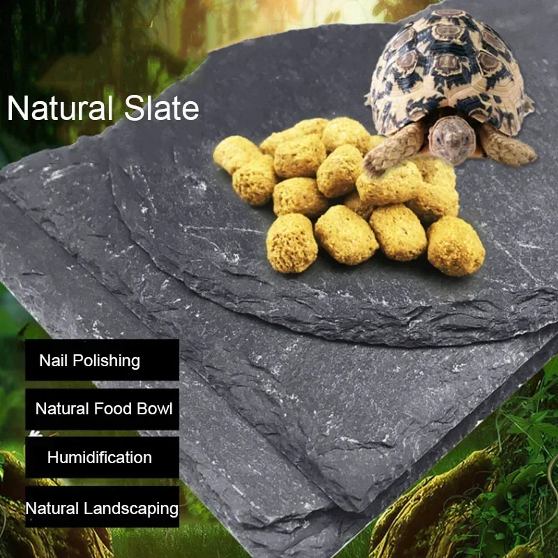Natural Slate Aquarium Pet Rep - Aquarium Fish Food reseña y precio