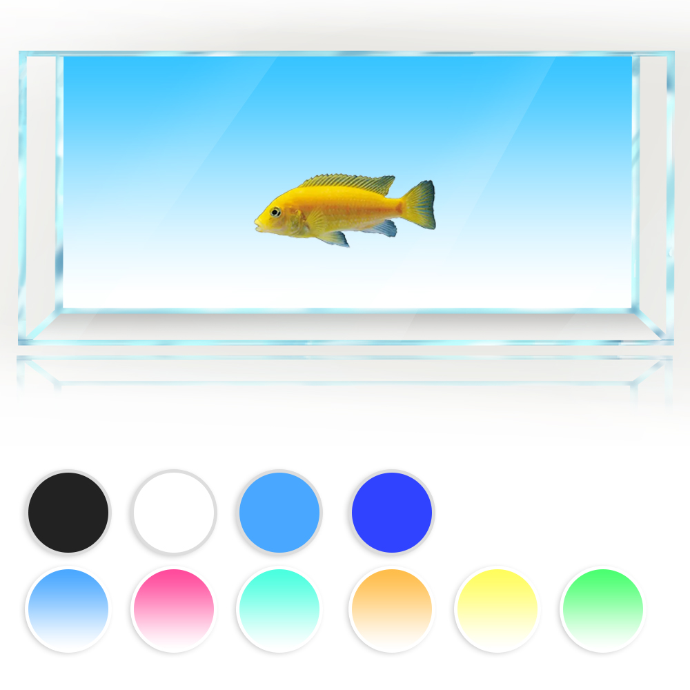 Fish Tank Background White Yel - Aquarium Fish Yellow And Black reseña y precio