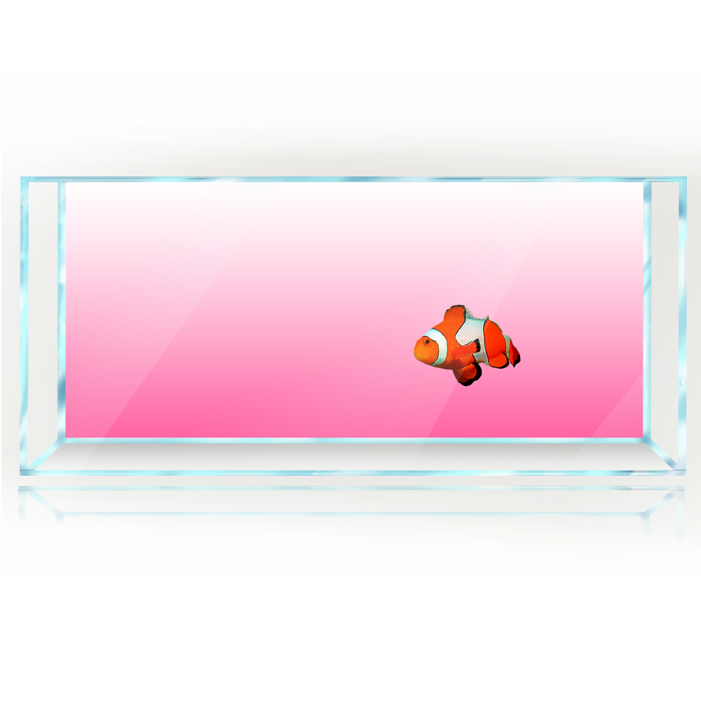 Fish Tank Background White Yel - Aquarium Fish Yellow And Black reseña y precio