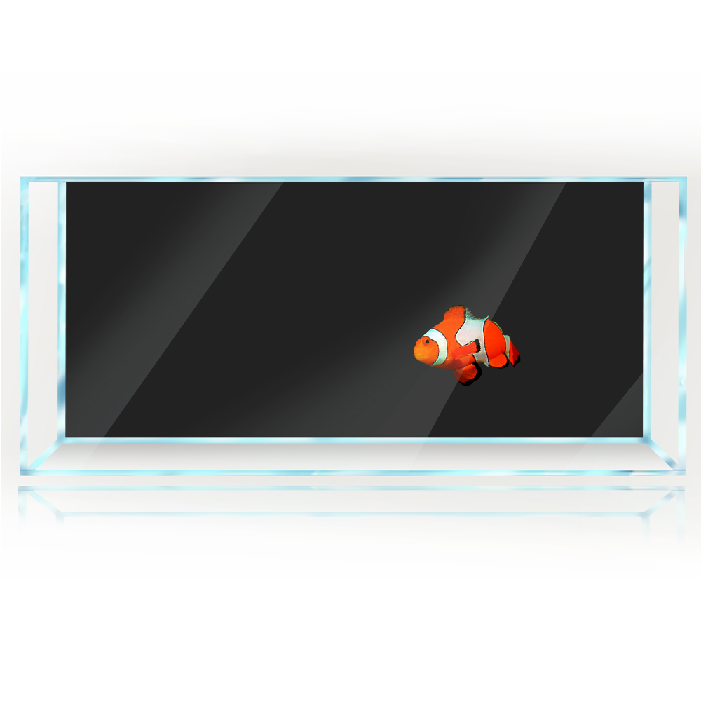Fish Tank Background White Yel - Aquarium Fish Yellow And Black reseña y precio
