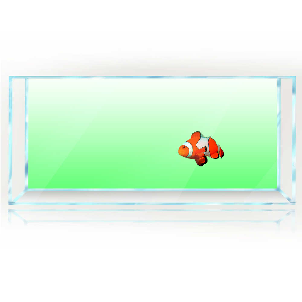 Fish Tank Background White Yel - Aquarium Fish Yellow And Black reseña y precio