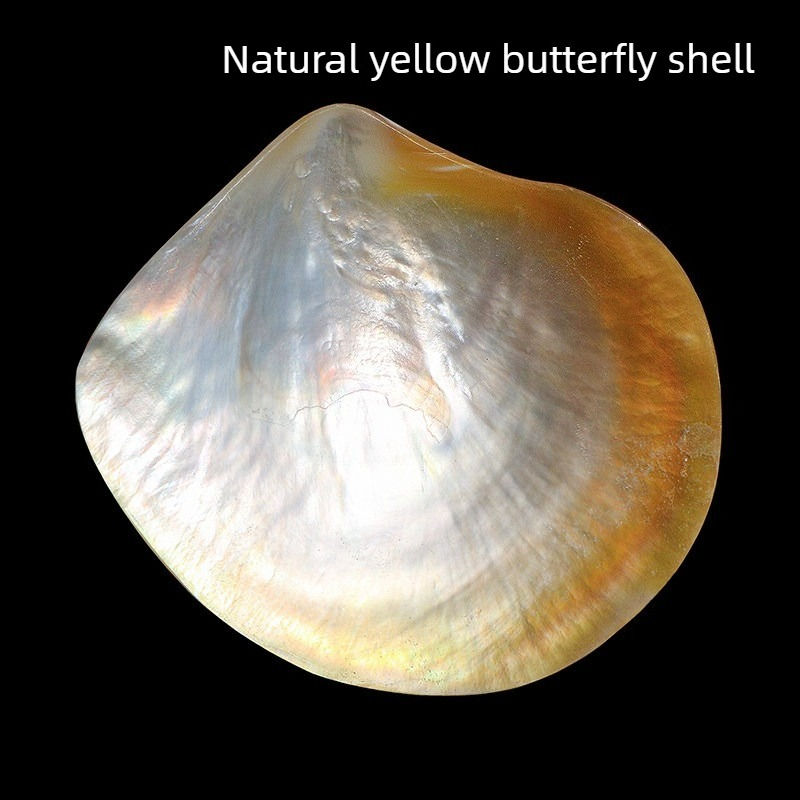 Natural Yellow Butterfly Beibe - Aquarium Fish Yellow reseña y precio