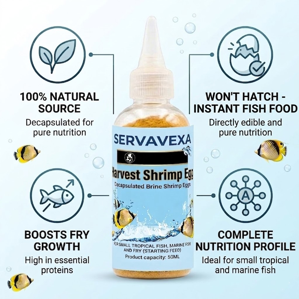 50ml Aquarium Fish Food Decaps - Aquarium Fish Holiday Food reseña y precio