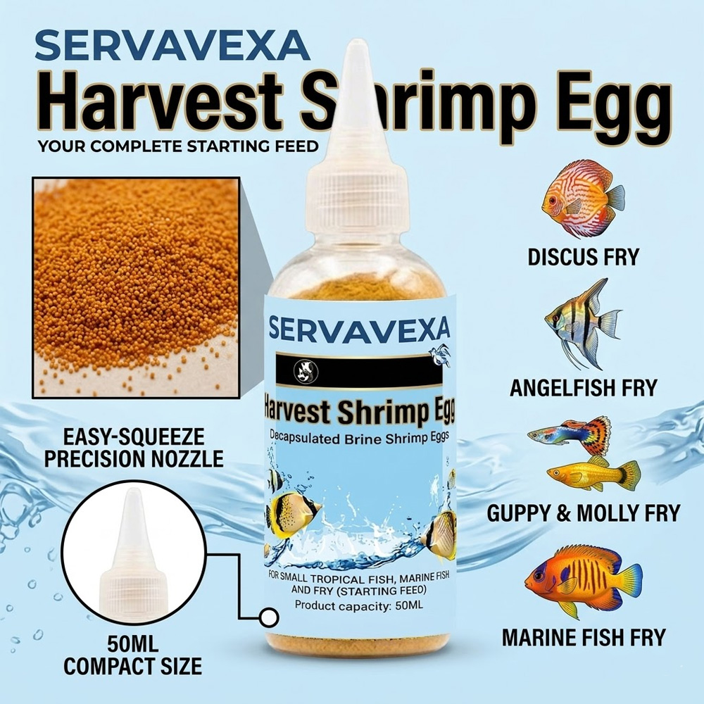 50ml Aquarium Fish Food Decaps - Aquarium Fish Holiday Food reseña y precio