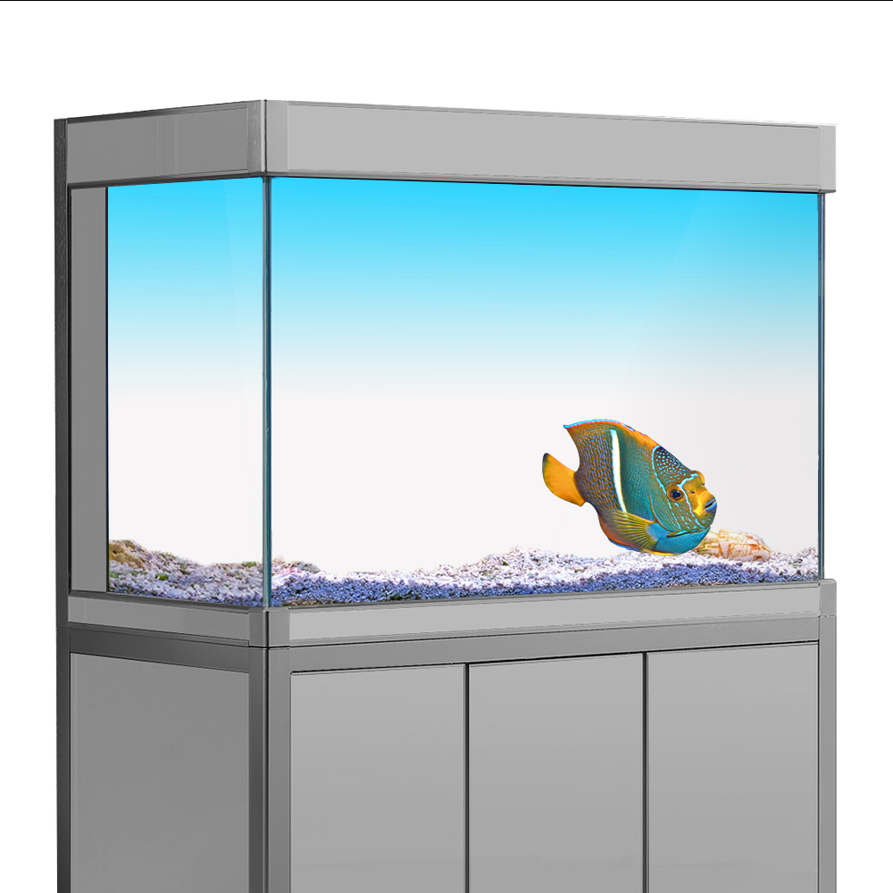 Fish Tank Background Sticker W - Aquarium Fish Yellow reseña y precio