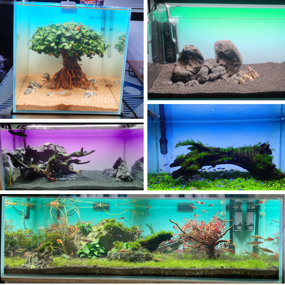 Fish Tank Background Sticker W - Aquarium Fish Yellow reseña y precio
