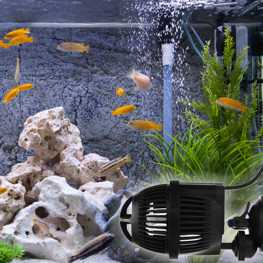 Circulation Water Pump with Su - Powerhead Circulation Pump reseña y precio