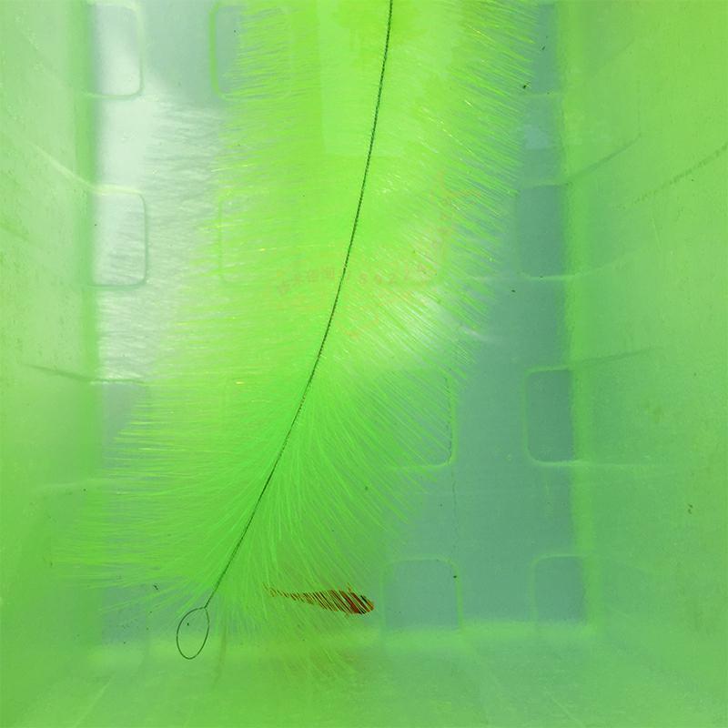 Breeding Grass for Koi Fish Eg - Aquarium Fish Koi reseña y precio