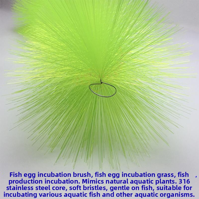 Breeding Grass for Koi Fish Eg - Aquarium Fish Koi reseña y precio