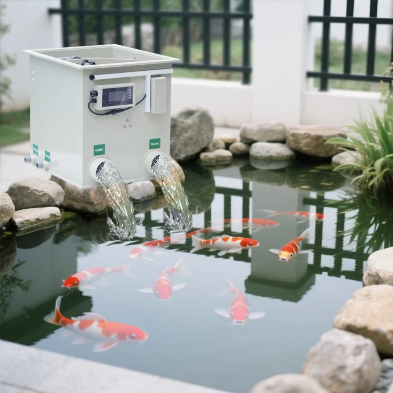 5300 Gallon Koi Pond Rdf Micro - Aquarium Fish Koi reseña y precio