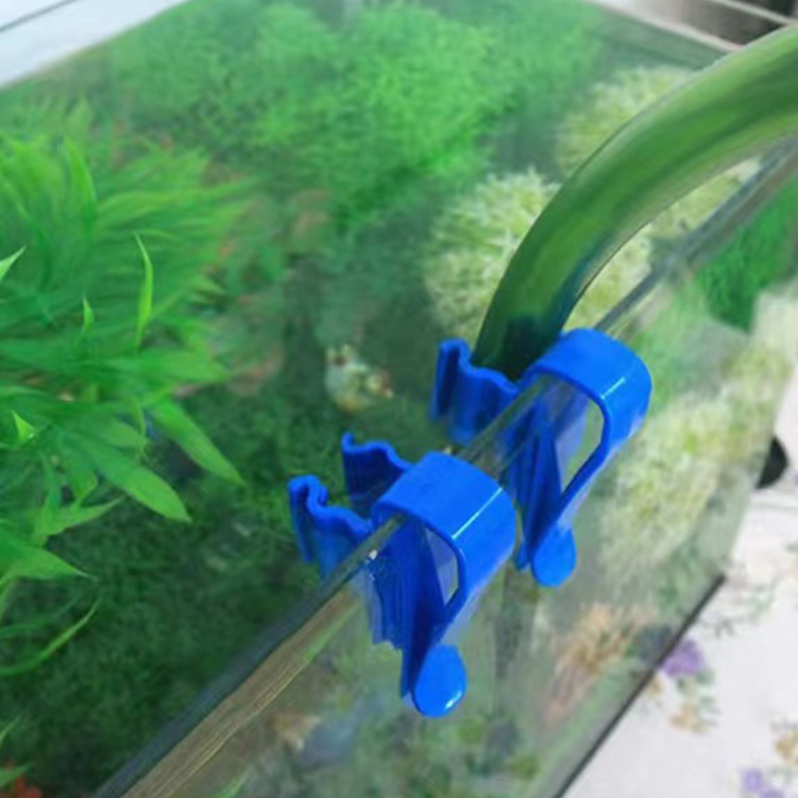 Aquarium Tube Holder Clip Fish - Aquarium Fish Youtube reseña y precio