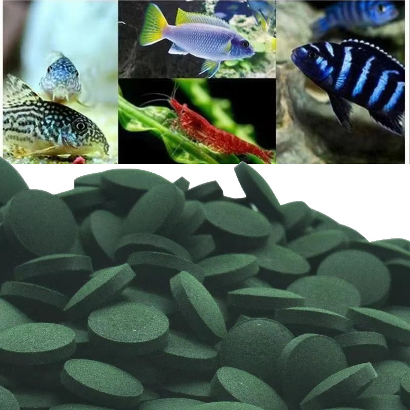 50/100/300/500pcs Spirulina Ta - Aquarium Fish Holiday Food reseña y precio