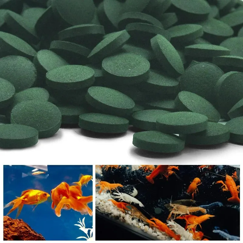 50/100/300/500pcs Spirulina Ta - Aquarium Fish Holiday Food reseña y precio