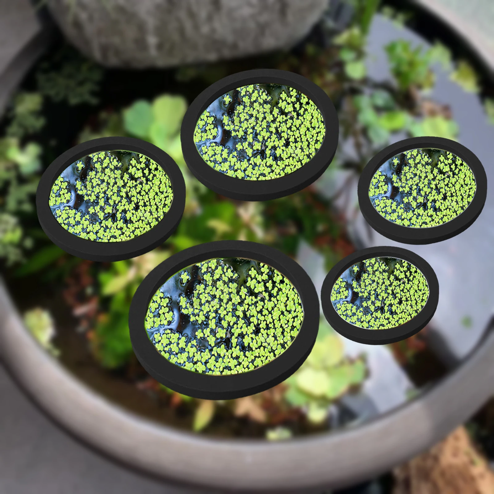 5Pcs EVA Fish Feeding Ring Aqu - Aquarium Fish Food reseña y precio