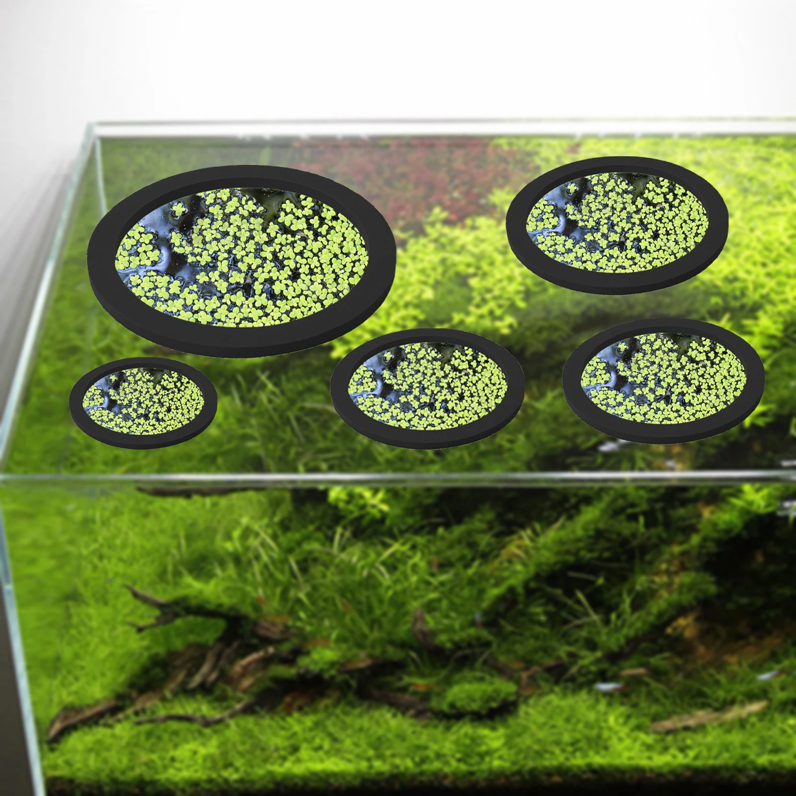 5Pcs EVA Fish Feeding Ring Aqu - Aquarium Fish Food reseña y precio