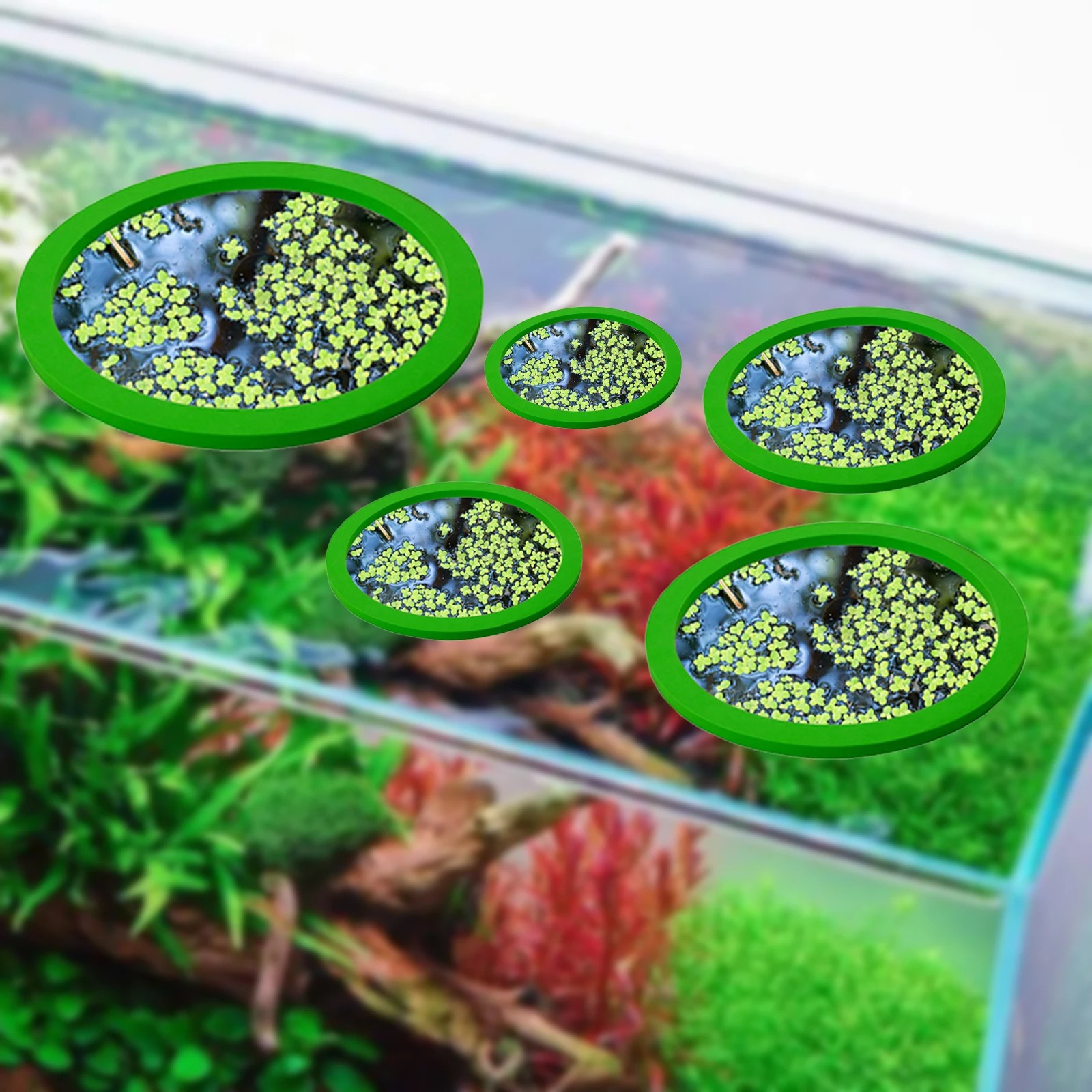 5Pcs EVA Fish Feeding Ring Aqu - Aquarium Fish Food reseña y precio