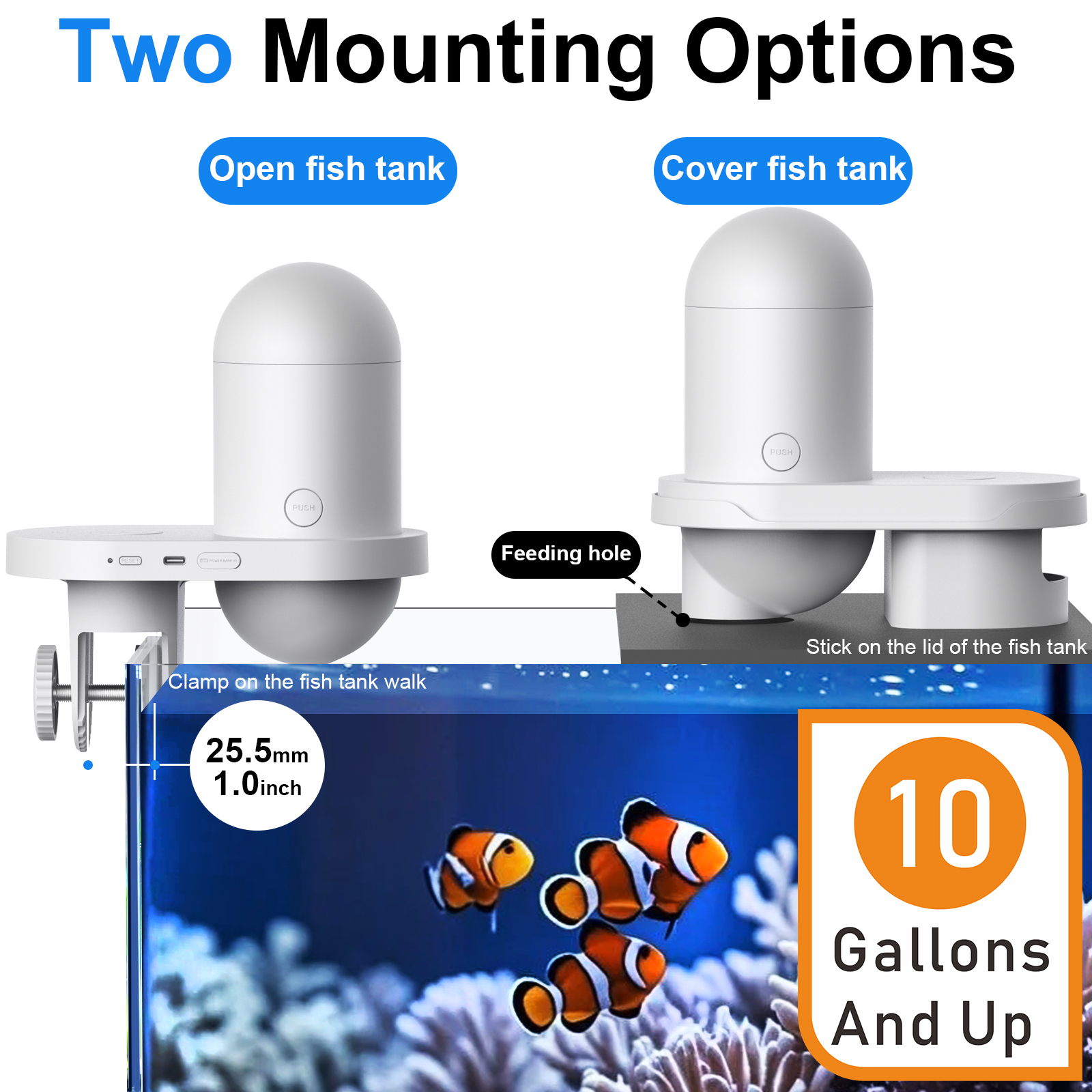 Automatic Fish Feeder With Cam - Aquarium Fish Food reseña y precio