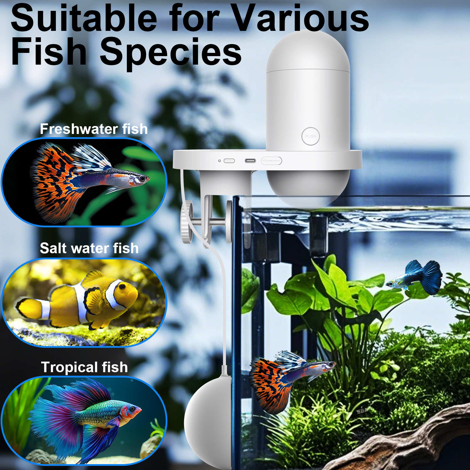 Automatic Fish Feeder With Cam - Aquarium Fish Food reseña y precio