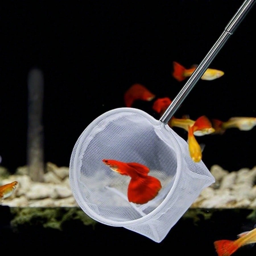 Aquarium Fish Net - a Retracta - Aquarium Fish Food reseña y precio