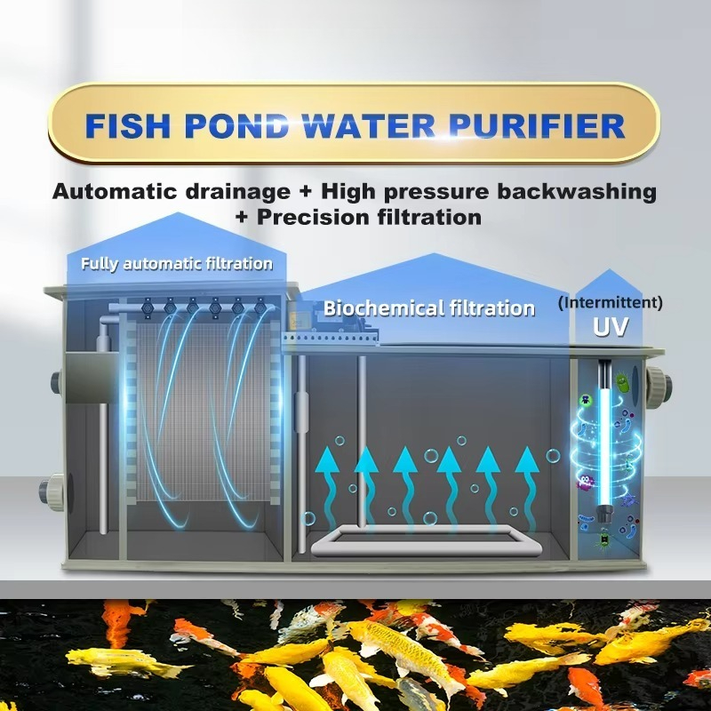 Household  Koi Carp Pond Filte - Aquarium Fish Koi reseña y precio