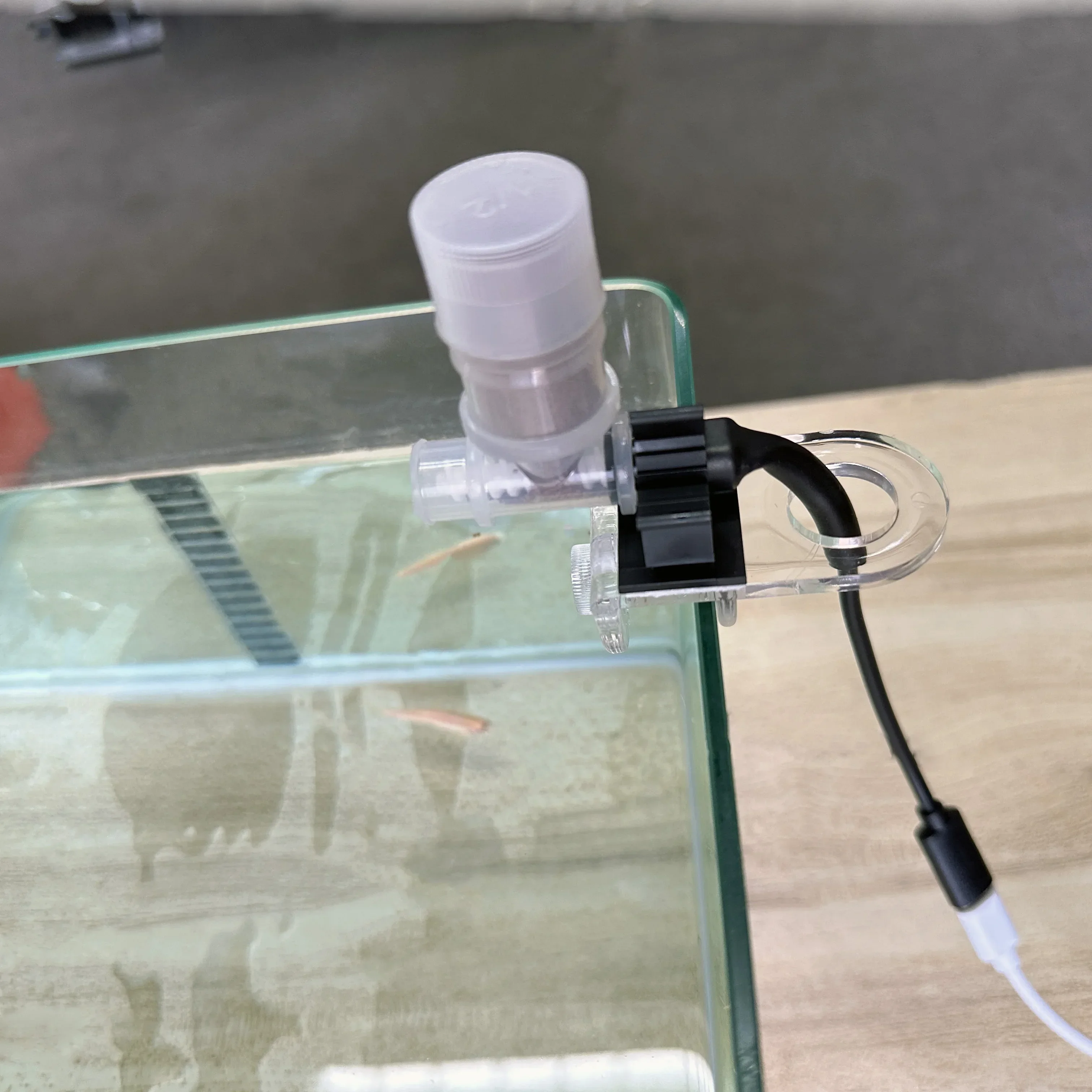 Best Automatic Fish Feeder - W - Aquarium Fish Holiday Food reseña y precio