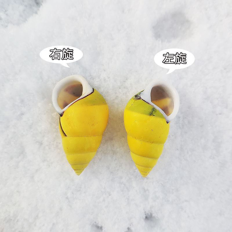 Rare Trochus Shell Aquarium Or - Aquarium Fish Yellow reseña y precio