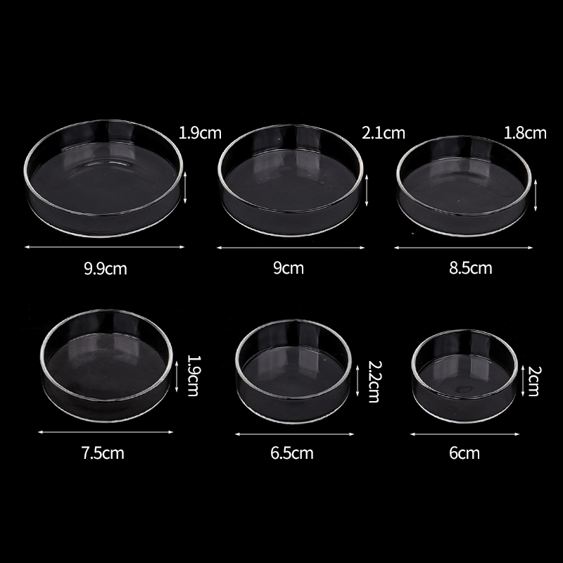 Shrimp Feeding Dish High Trans - Aquarium Fish Food reseña y precio