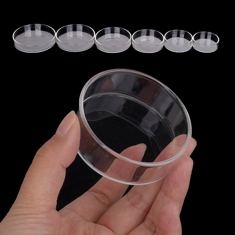 Shrimp Feeding Dish High Trans - Aquarium Fish Food reseña y precio