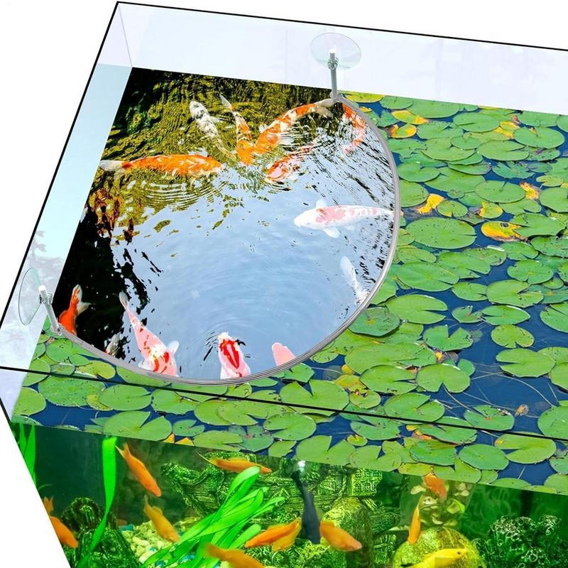 Floating Plant Corral Fish Fee - Aquarium Fish Food reseña y precio