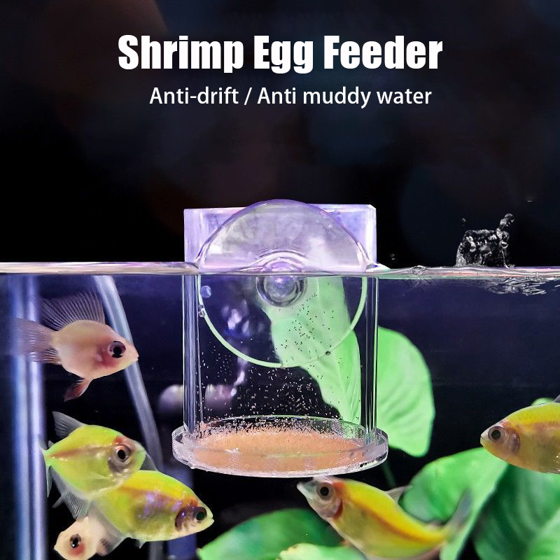 Transparent Arcylic Aquarium F - Aquarium Fish Holiday Food reseña y precio