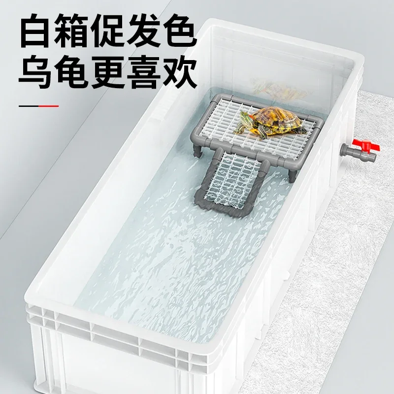 A  Turtle tank big turtle prof - Fish Co Aquarium reseña y precio