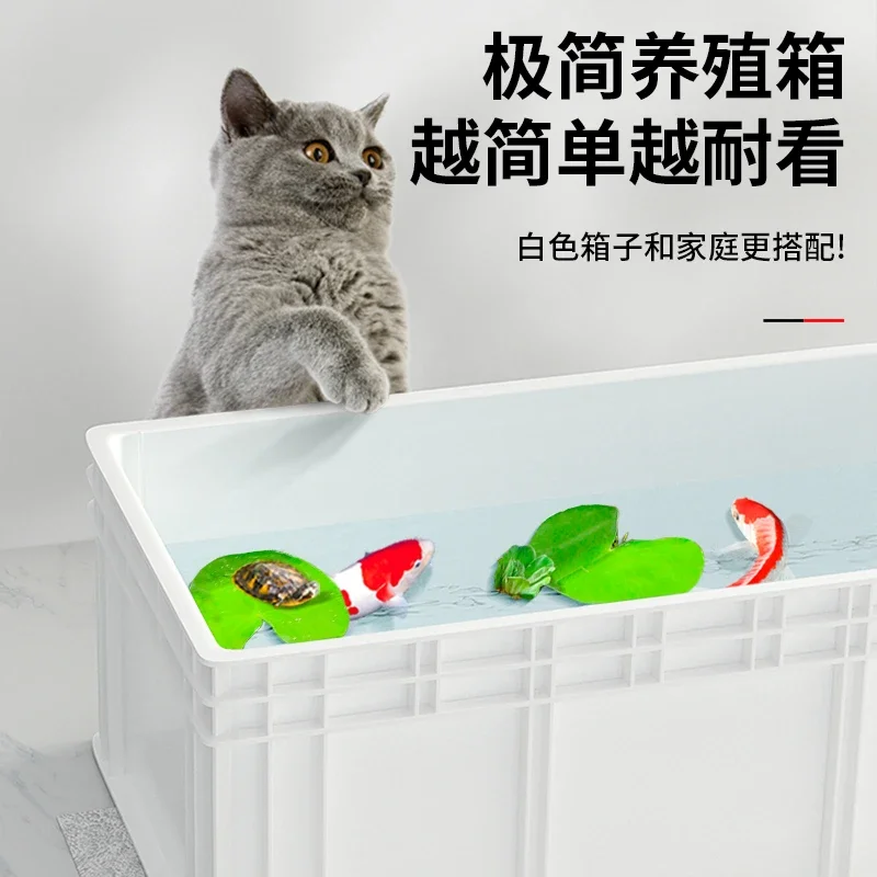 A  Turtle tank big turtle prof - Fish Co Aquarium reseña y precio