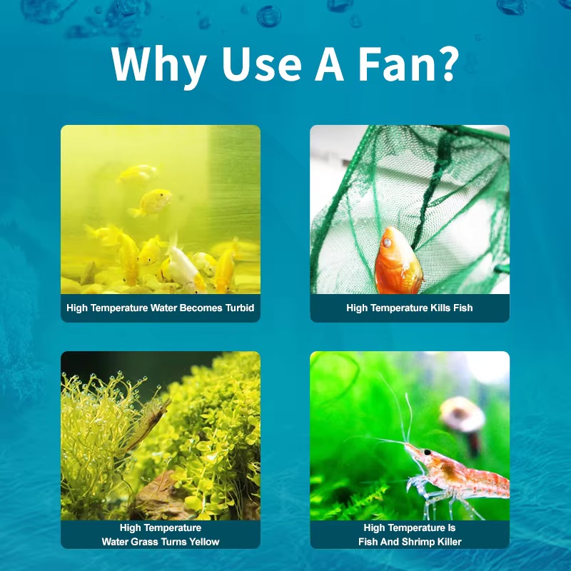 Jebao Jecod ACF Series Aquariu - Fish Co Aquarium reseña y precio