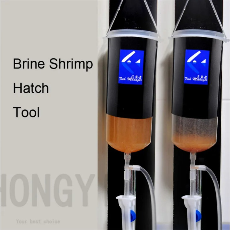 Fairy shrimp egg artemia alive - Aquarium Fish Holiday Food reseña y precio