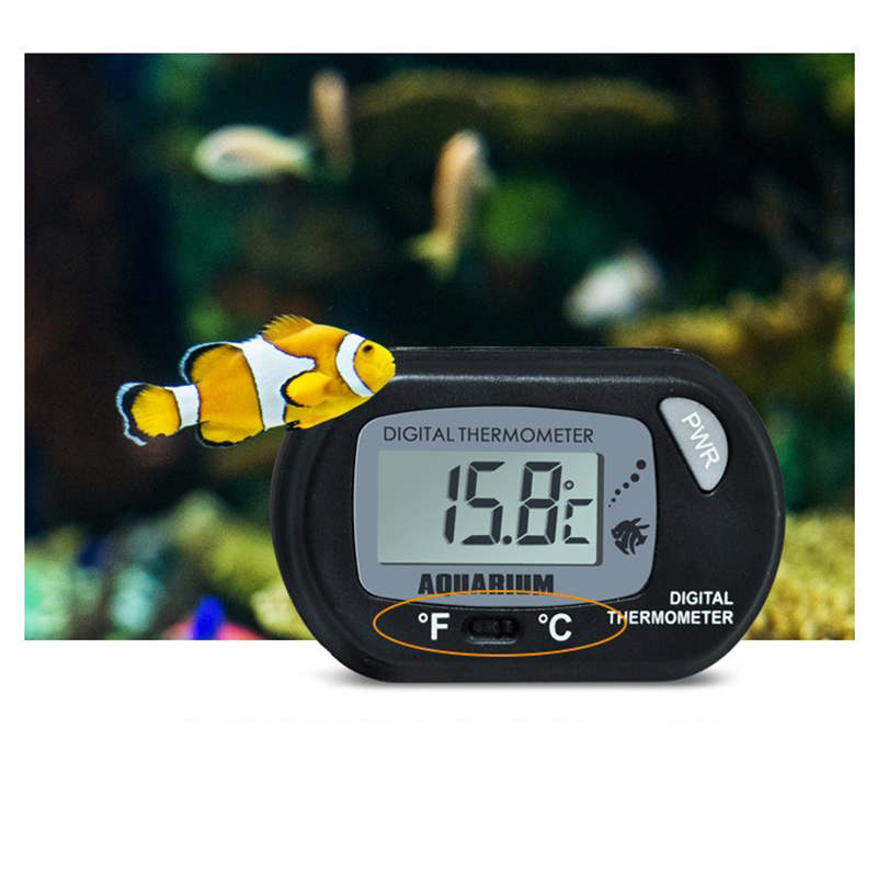 1PC 58*37mm Fish Tank Digital  - Aquarium Fish Yellow reseña y precio