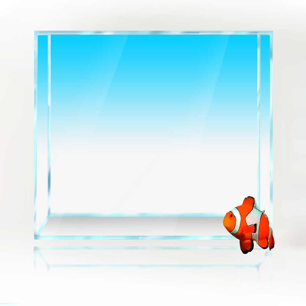 Square Fish Tank Background Wh - Aquarium Fish Yellow And Black reseña y precio