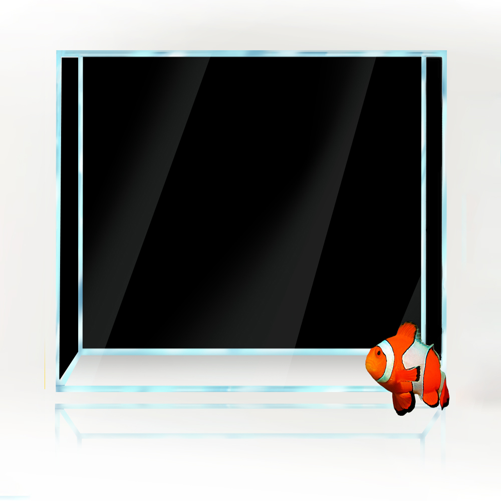 Square Fish Tank Background Wh - Aquarium Fish Yellow And Black reseña y precio