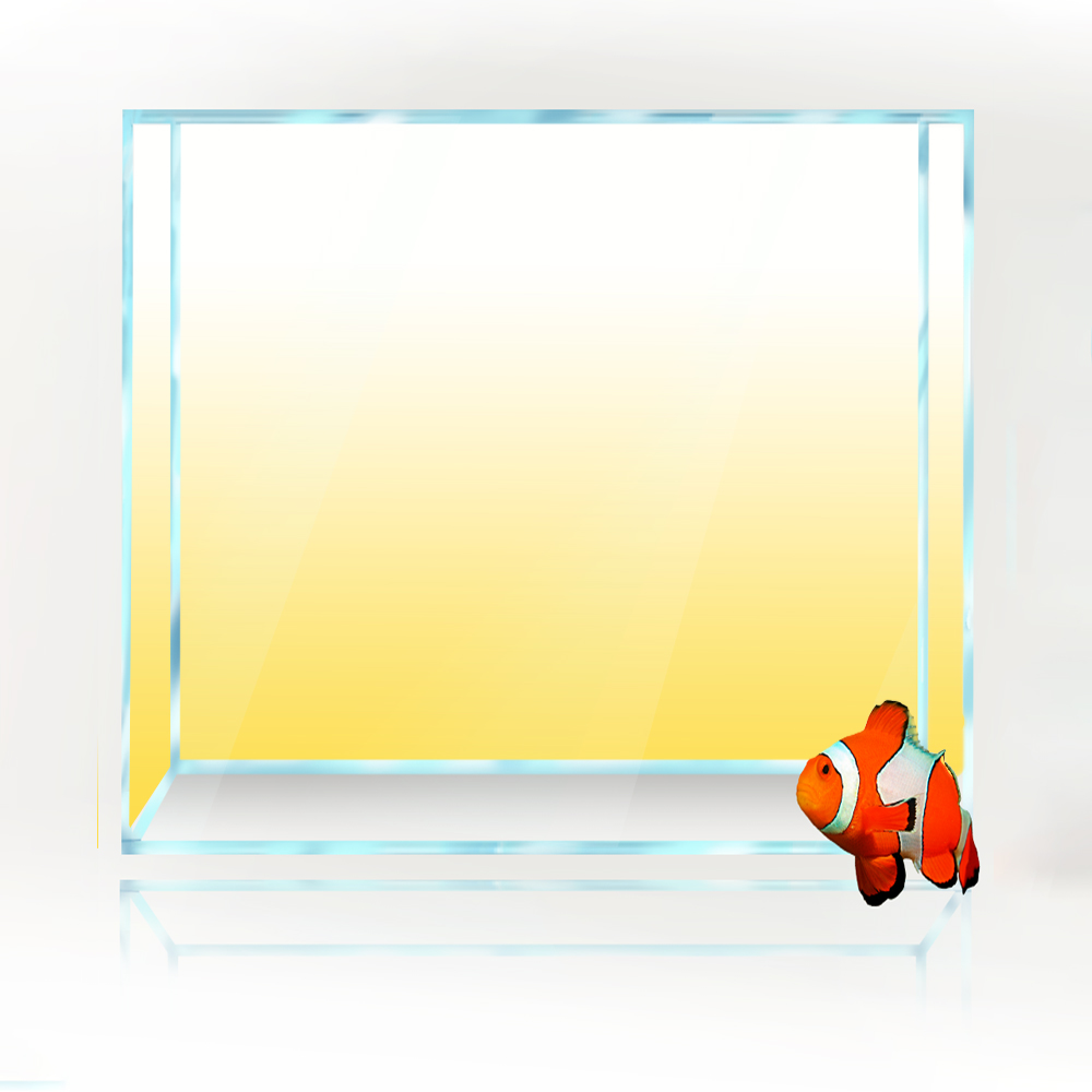 Square Fish Tank Background Wh - Aquarium Fish Yellow And Black reseña y precio