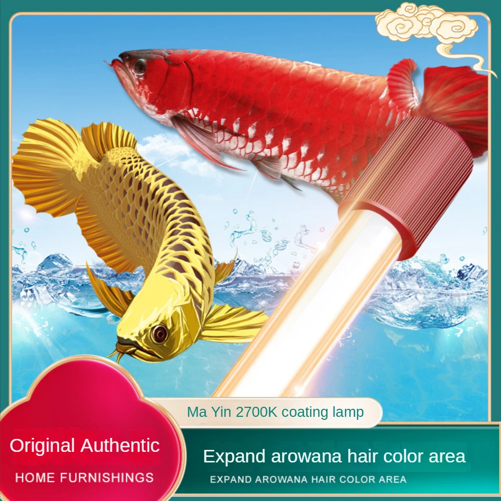 Glass Arowana Fish Tank Light, - Aquarium Fish Yellow reseña y precio