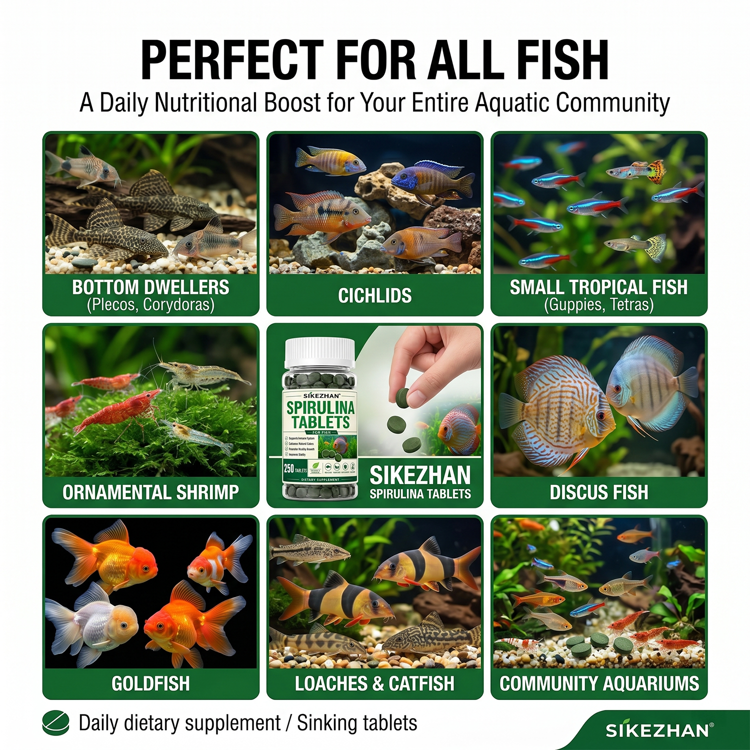 High Purity Spirulina Tablets  - Aquarium Fish Holiday Food reseña y precio